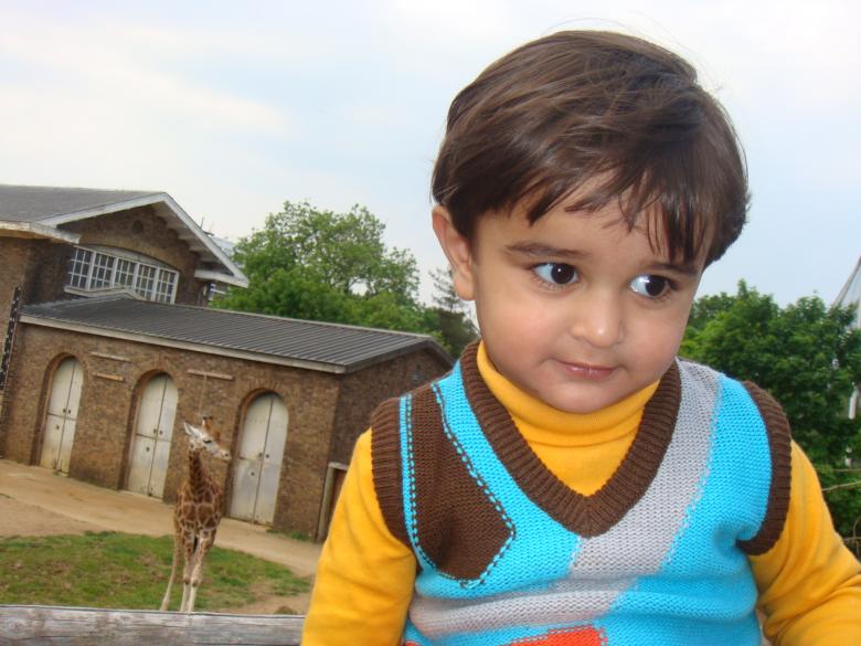 Free stock image of Child at the zoo created by Ali Haider