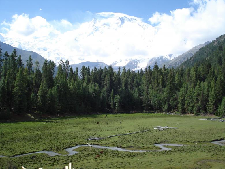 Free stock image of Fairy Meadow created by Ali Haider