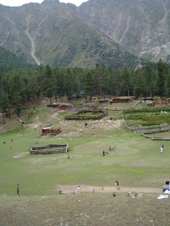 Free stock image of Fairy meadows created by Ali Haider