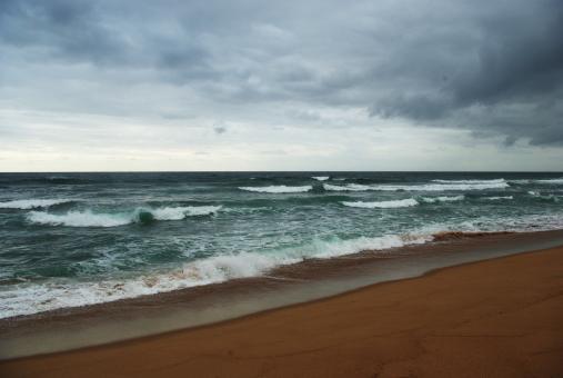 Beach - Free Stock Photo