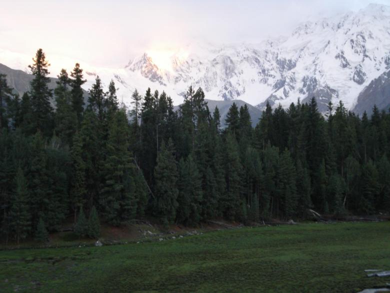 Free stock image of Fairy Meadow, Nanga Parbat created by Ali Haider
