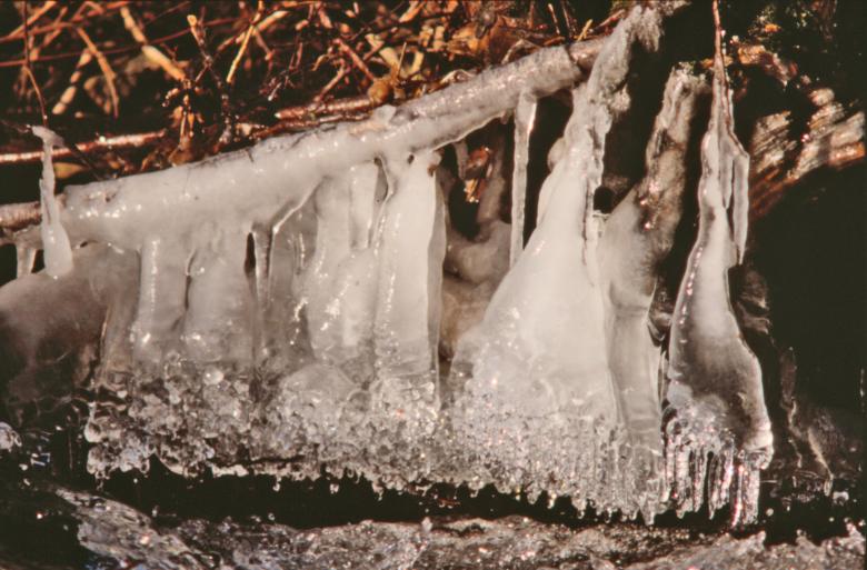 Free stock image of Winter created by MUNCH PIERRE