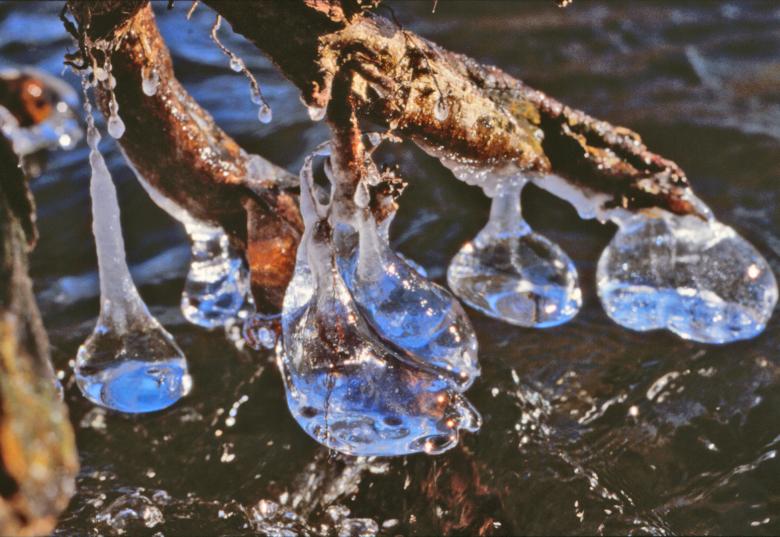 Free stock image of Winter created by MUNCH PIERRE