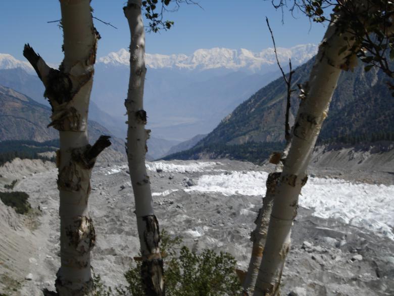Free stock image of Fairy Meadows, Nanga parbat created by Ali Haider