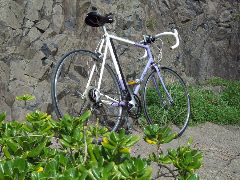 Free stock image of Raleigh LIghtweight Trilite created by Peter Alexander Robb
