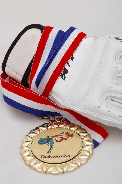 Free stock image of Gold medal - Taekwondo created by frhuynh