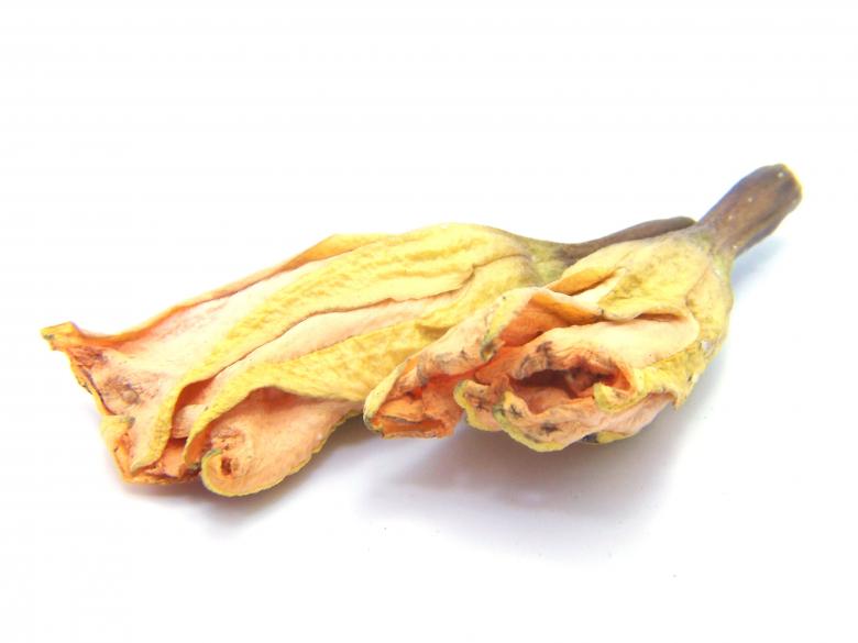 Free stock image of Withered Flower created by homero chapa