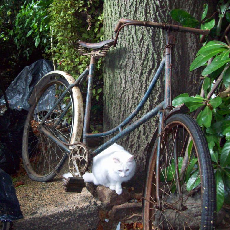 Free stock image of Pre war SOMME Bicyclette - Somme Cycle W created by Peter Alexander Robb