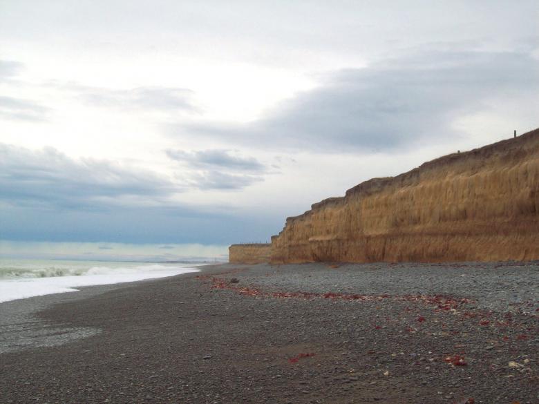 Free stock image of Kingsdown sea escarpment - Canterbury NZ created by Peter Alexander Robb