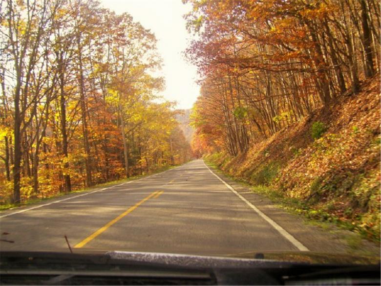 Free stock image of God Bless Two Lane Roads and Fall Foilag created by Marcy