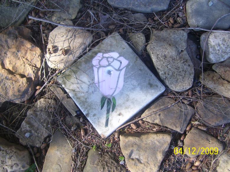 Free stock image of Garden Stone created by Marcy