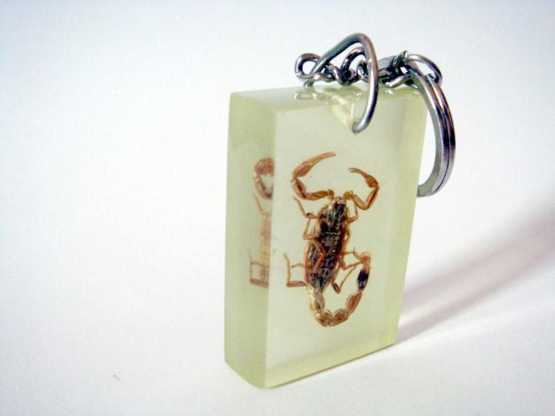 Free stock image of Scorpion Keyring created by Bilal Aslam