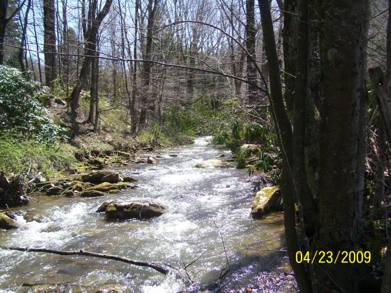 Free stock image of Up Stream created by Marcy