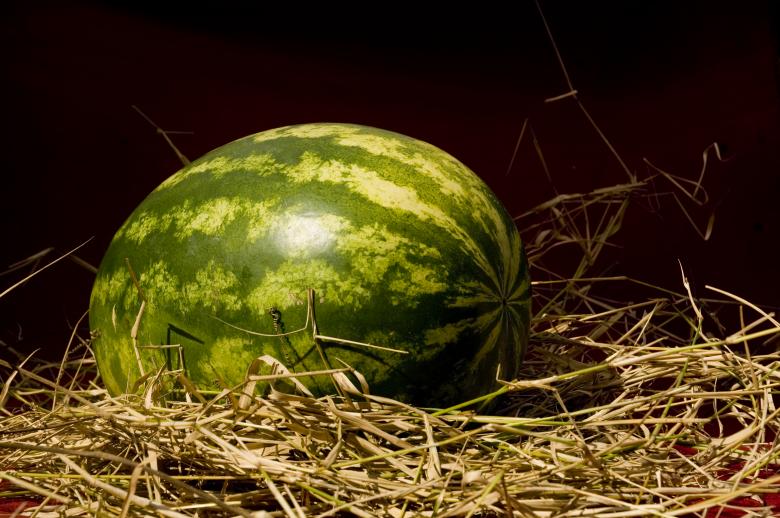 Free stock image of Watermelon created by alejuse2007