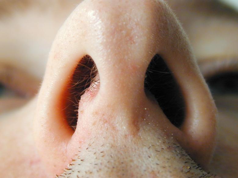 Free stock image of Nose created by freeimageslive