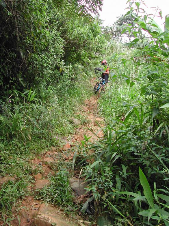 Free stock image of Biking in the woods created by voldevis