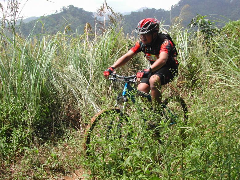 Free stock image of Mountain biker created by voldevis