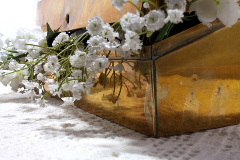 Free stock image of White flowers in a box created by Photomaryke
