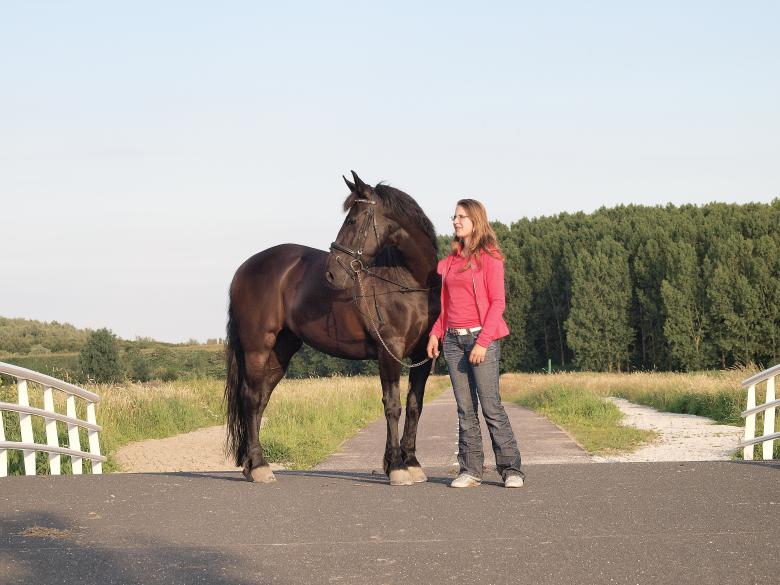 Free stock image of Girl and her horse created by Judith van Hartevelt