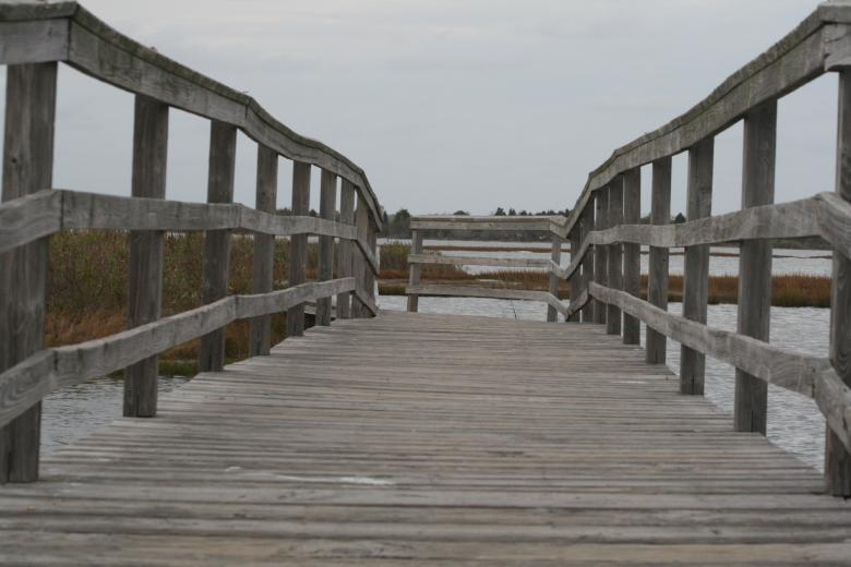 Free stock image of Wooden Bridge created by GusRomanPhotography