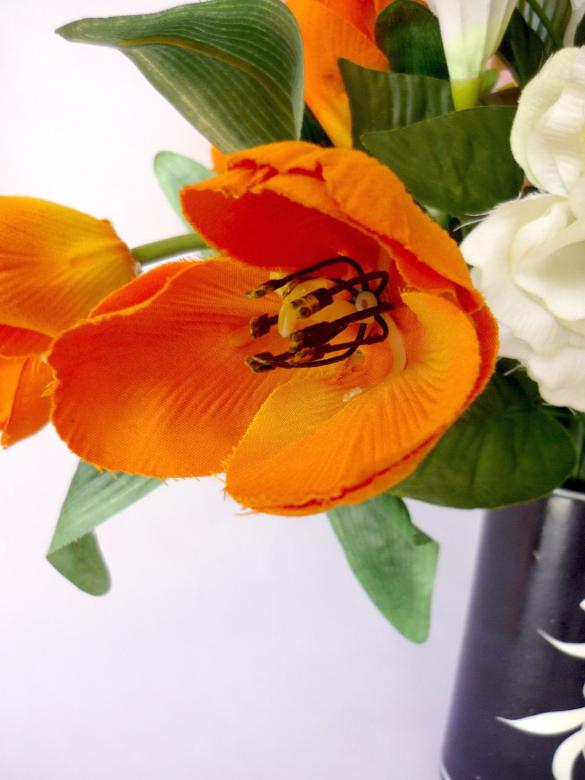 Free stock image of Orange Tulips created by Bilal Aslam