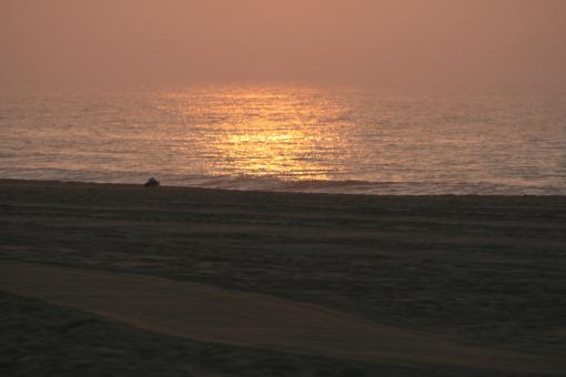 Free Stock Photo of Sunrise