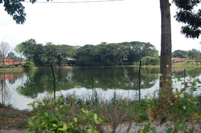 Free stock image of Lake created by syed mohd yunus