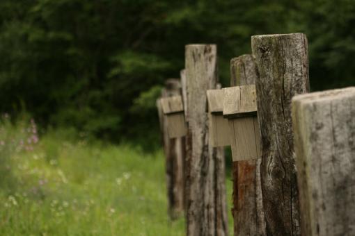 Free Stock Photo of BirdHouses