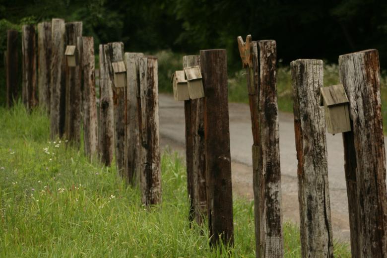 Free stock image of Bird Houses created by GusRomanPhotography