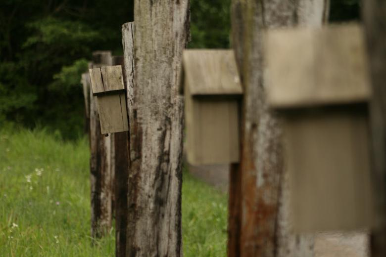 Free stock image of BirdHouses created by GusRomanPhotography