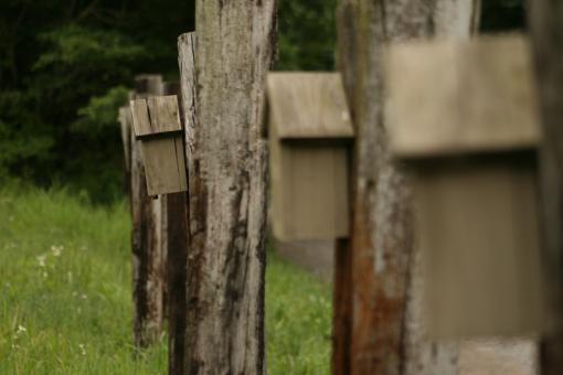 Free Stock Photo of BirdHouses