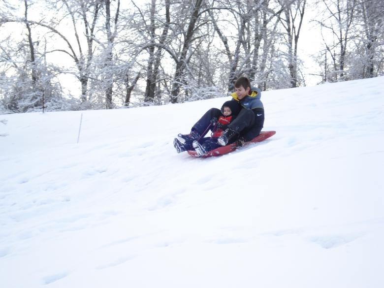 Free stock image of Back Yard Sledding created by Elaine Sons