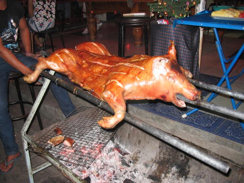 Free stock image of Roasted Meat created by Alireza GHABRAEI