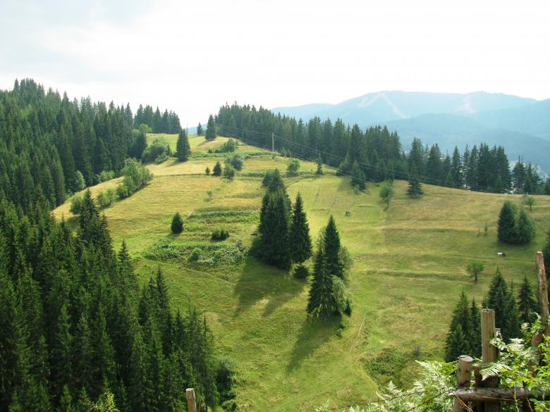 Free stock image of View from the central Rhodopi mountain created by Yuliy Ganev