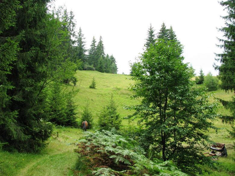 Free stock image of View from the central Rhodopi mountain created by Yuliy Ganev