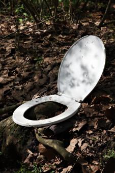 The Misplaced Toilet Seat - Free Stock Photo