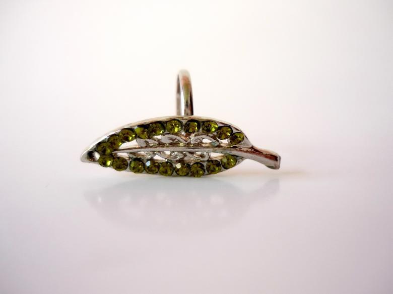 Free stock image of Green Leaf Ring created by Bilal Aslam
