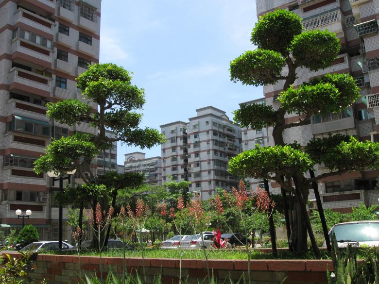 Free stock image of Urban Vegetation created by pmao