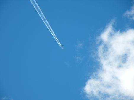 White stripe - Free Stock Photo