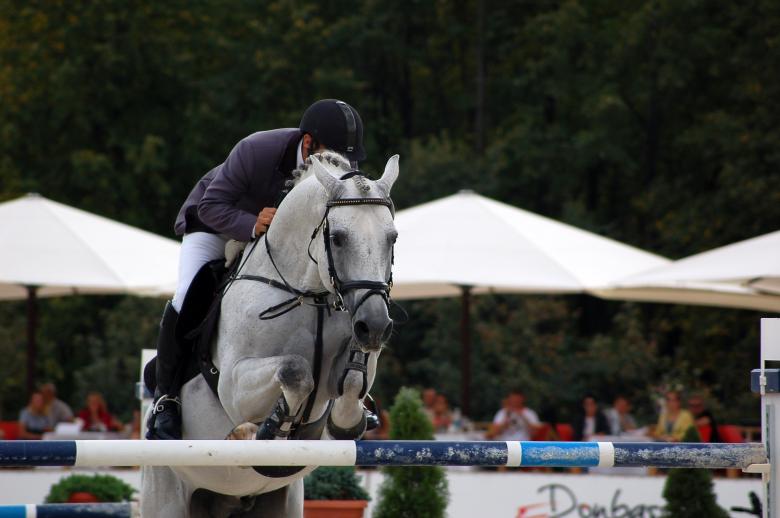 Free stock image of Equestrian created by Volodymyr