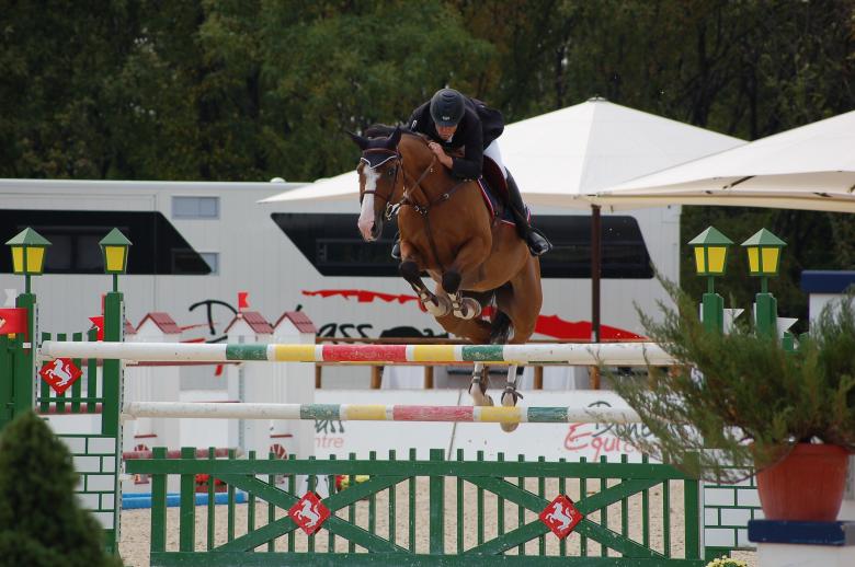 Free stock image of Equestrian created by Volodymyr