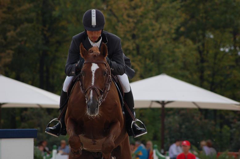 Free stock image of Equestrian created by Volodymyr