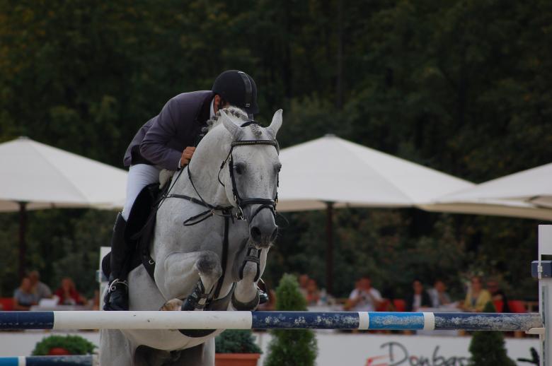 Free stock image of Equestrian created by Volodymyr