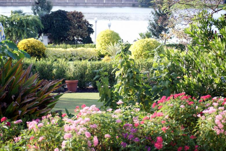 Free stock image of The Garden created by Jesus Baez