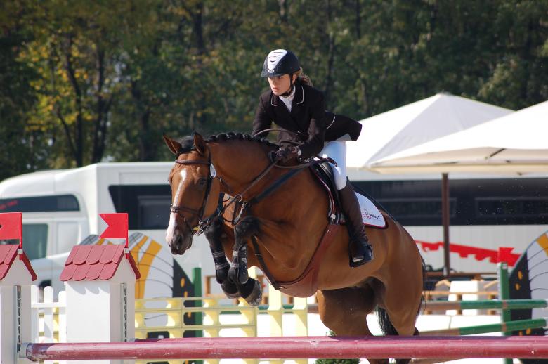 Free stock image of Equestrian created by Volodymyr