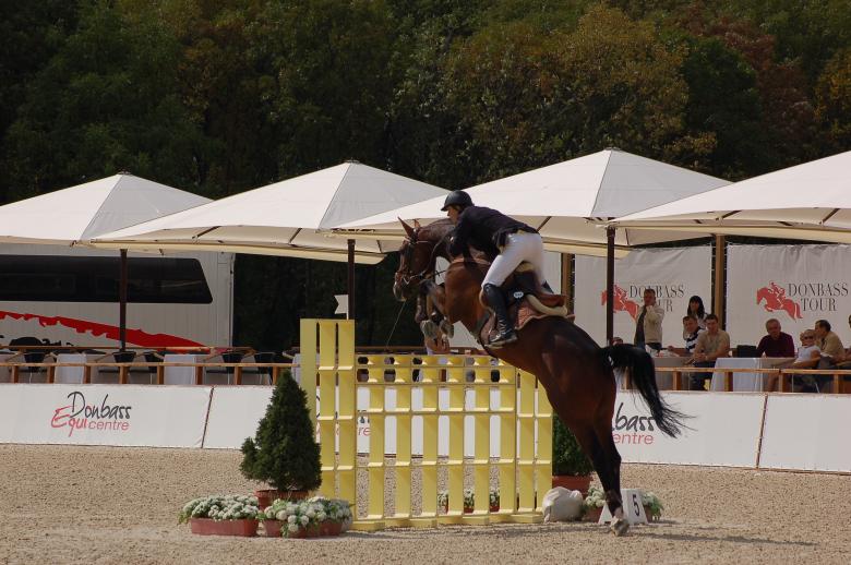 Free stock image of Equestrian created by Volodymyr