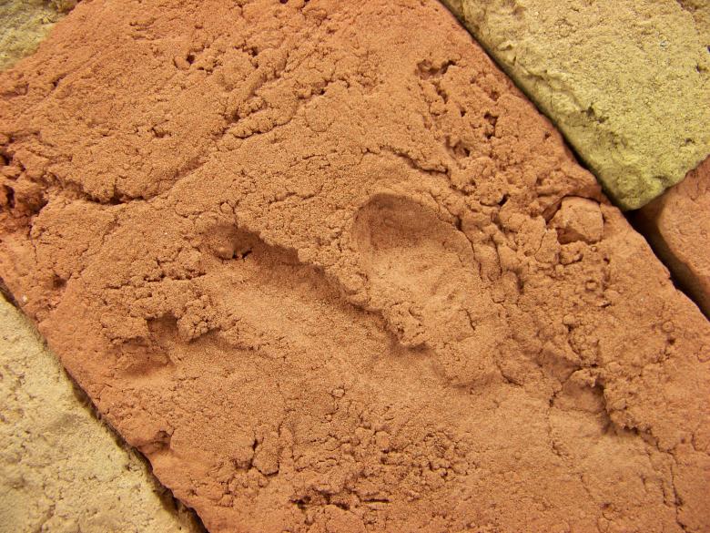Free stock image of Brick surface created by homero chapa