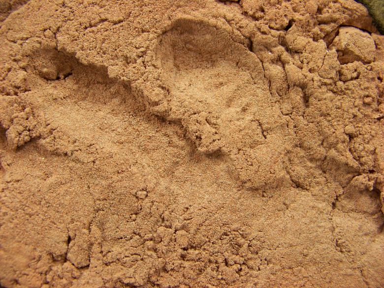 Free stock image of Brick surface created by homero chapa