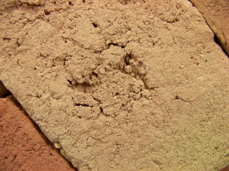 Free stock image of Brick surface created by homero chapa