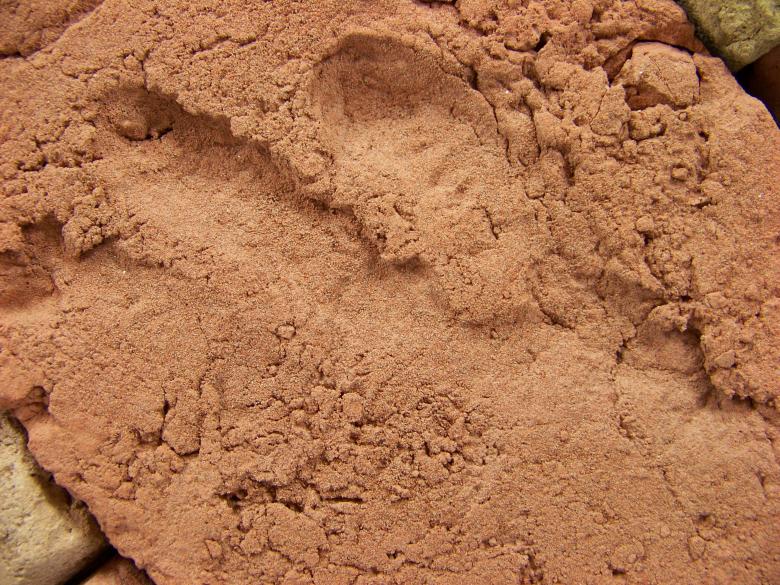 Free stock image of Brick surface created by homero chapa